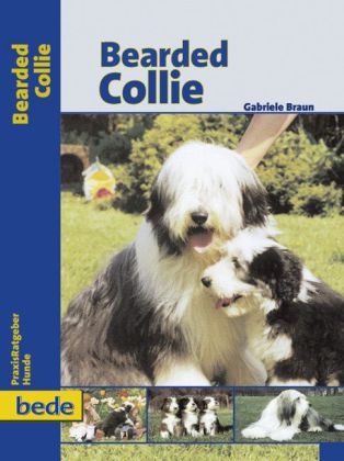 Praxisratgeber Bearded Collie
