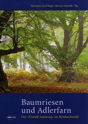 Baumriesen und Adlerfarn