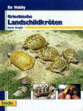 Ihr Hobby Griechische Landschildkr&ouml;ten - Rainer Zirngibl