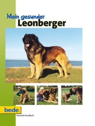 Mein gesunder Leonberger