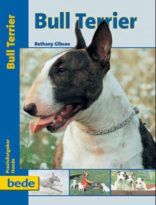 Praxisratgeber Bull Terrier