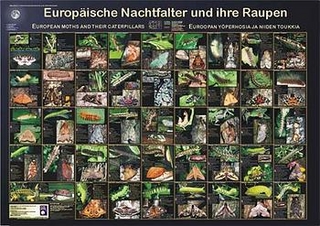 Europäische Nachtfalter und ihre Raupen