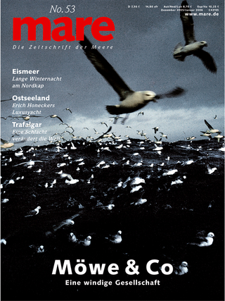 mare - Die Zeitschrift der Meere / No. 53 / Möwe & Co