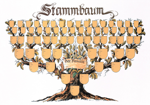 Schmuckbild "Stammbaum"