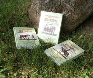 Wohlerfahrene Pferdearzt 1754. Wolerfahrne Pferde-Arzt. Welcher gr&uuml;ndlich lehret, wie man die Pferde Complexion, Natur und Alter erkennen, alle inner- und &auml;usserliche Kankheiten curiren, und die gesunden Pferde vor allen bevorstehenden M&auml;ngeln praeserviren solle. Mit einem Anhang einiger raren, f&uuml;r junge Fohlen treflich gut befundenen Arzeney-Mitteln versehen, auch durch und durch verbessert, und mit den bew&auml;hrtesten Arcanis vermehret, durch Valentin Trichter, wolbestalten Reit-Meistern der Republic N&uuml;rnberg.Mit vielen n&ouml;thigen Kupfern ausgezieret. Gesamtausgabe - Georg S Winter