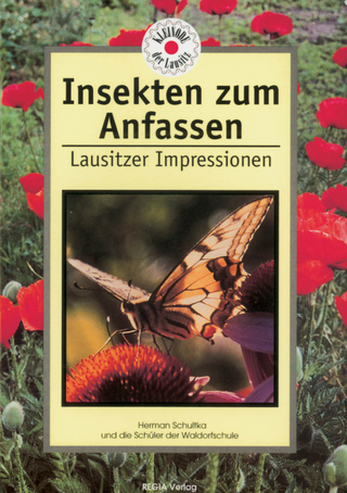 Insekten zum Anfassen