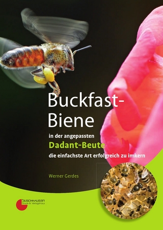 Buckfast-Biene in der angepassten Dadant-Beute