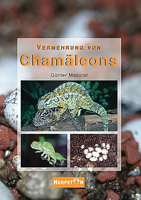 Vermehrung von Cham&auml;leons - G&uuml;nter Masurat