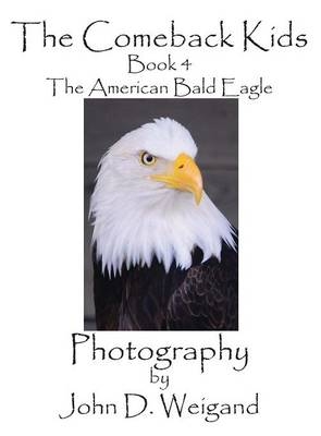 The Comeback Kids, Book 4, The American Bald Eagle