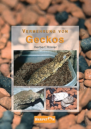 Vermehrung von Geckos