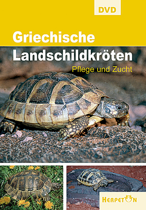 Griechische Landschildkröten