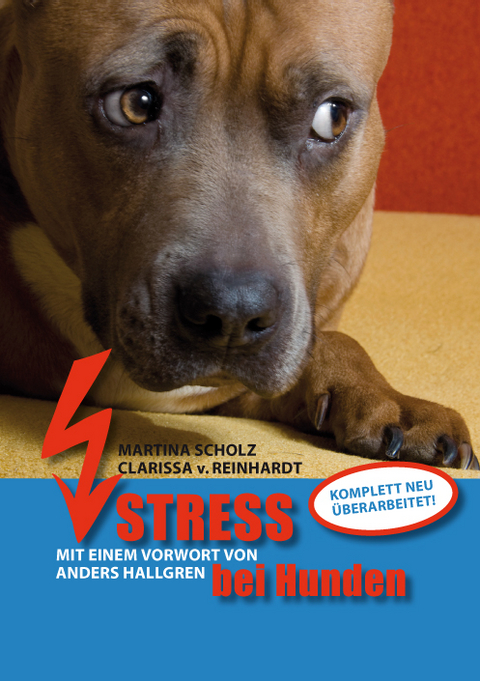 Stress bei Hunden - Martina Scholz, Clarissa von Reinhardt