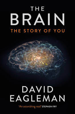 The Brain - David Eagleman