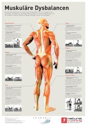 Muskuläre Dysbalancen