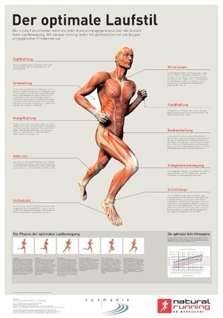 Der optimale Laufstil