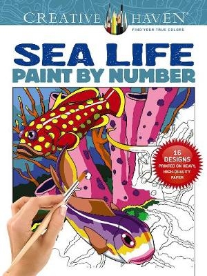 Creative Haven Sea Life Paint by Number