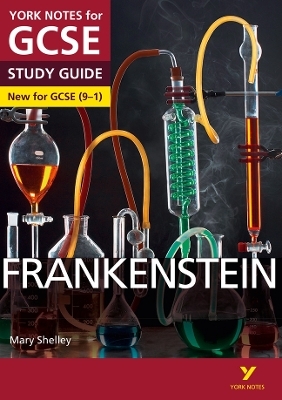 Frankenstein York Notes GCSE English Literature Study Guide - for 2026, 2027 exams - Alexander Fairbairn-Dixon, Mary Shelley