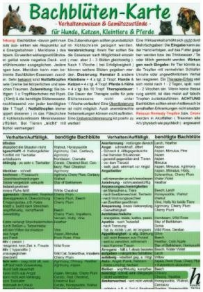 Bachblüten-Karte für Hunde, Katzen, Kleintiere und Pferde - Verhaltensweisen und Gemütszustände