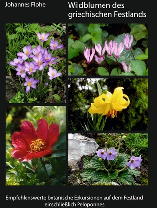 Wildblumen des griechischen Festlands