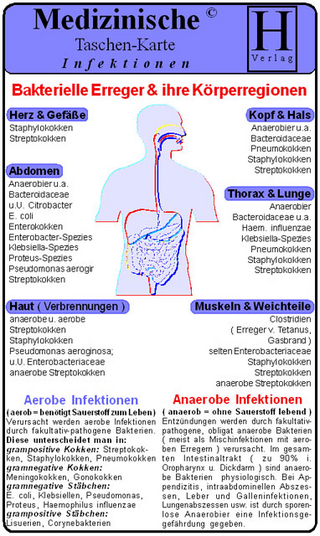 Infektionen - Medizinische Taschen-Karte