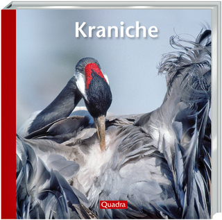 Kraniche