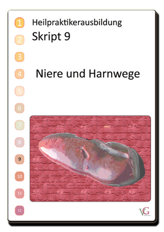 Heilpraktiker.  Heilpraktikerausbildung.  Skript 9 Niere und Harnwege