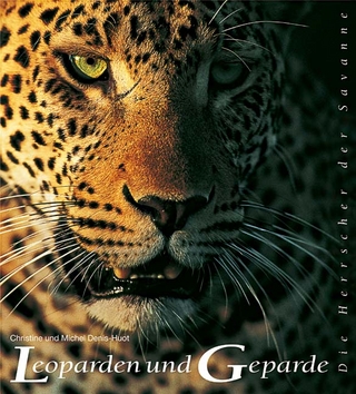 Leoparden und Geparde
