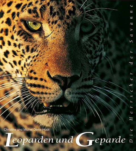 Leoparden und Geparde - Christine Denis-Hout, Michel Denis-Hout