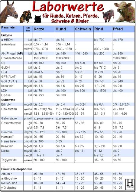 Laborwerte-Karte f&uuml;r Hunde, Katzen, Pferde, Schweine & Rinder