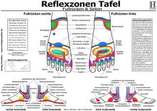 Fussreflexzonen Tafel - Fussrücken & Seiten - A3 (laminiert)