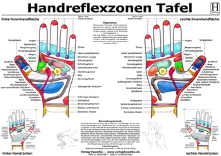 Handreflexzonen Tafel - A3 (laminiert)