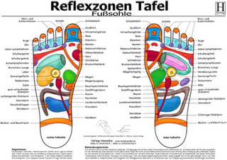 Fussreflexzonen Tafel - Fusssohle - A3 (laminiert)