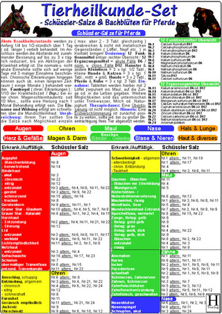 Schüssler-Salze & Bachblüten für Pferde - Tierheilkunde-Karten Set