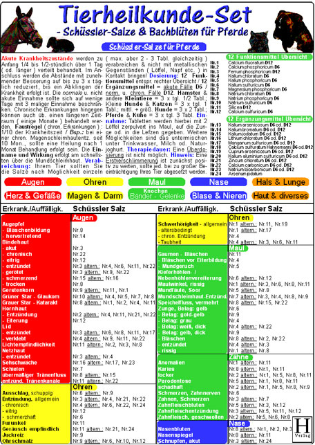 Sch&uuml;ssler-Salze & Bachbl&uuml;ten f&uuml;r Pferde - Tierheilkunde-Karten Set