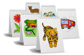 NDP3 Assessment Flip-Books Colour