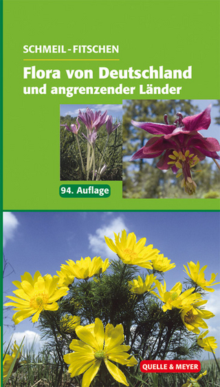 Schmeil/Fitschen: Flora von Deutschland und angrenzender Länder