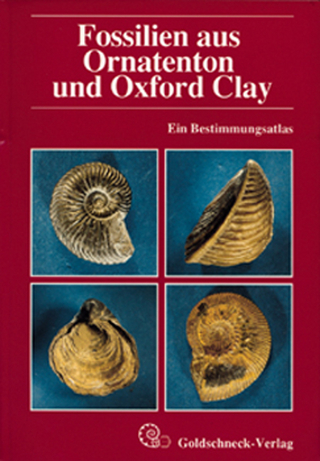 Fossilien aus Ornatenton und Oxford Clay