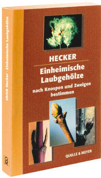 Einheimische Laubgeh&ouml;lze nach Knospen und Zweigen bestimmen - Ulrich Hecker