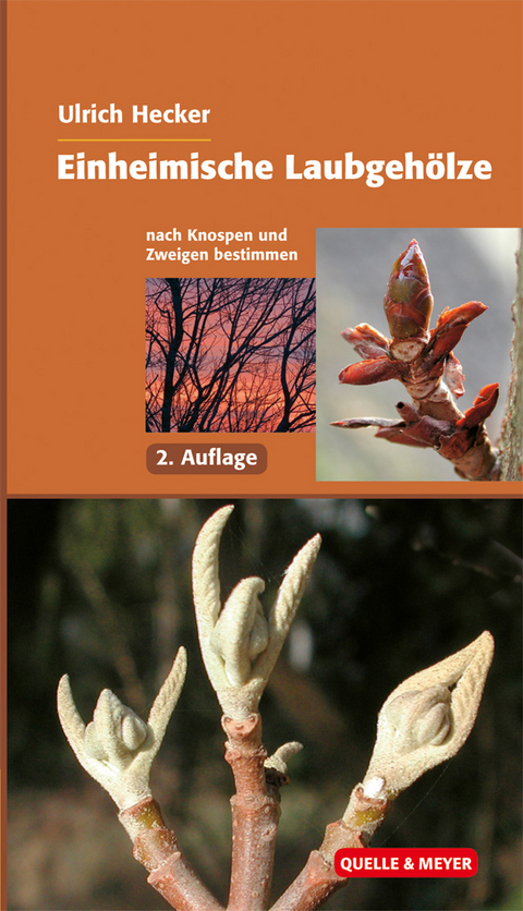 Einheimische Laubgeh&ouml;lze - Ulrich Hecker