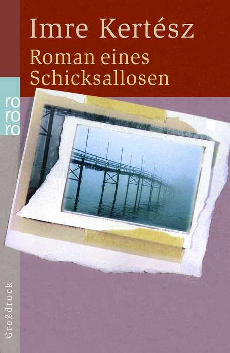 Roman eines Schicksallosen - Imre Kert&eacute;sz
