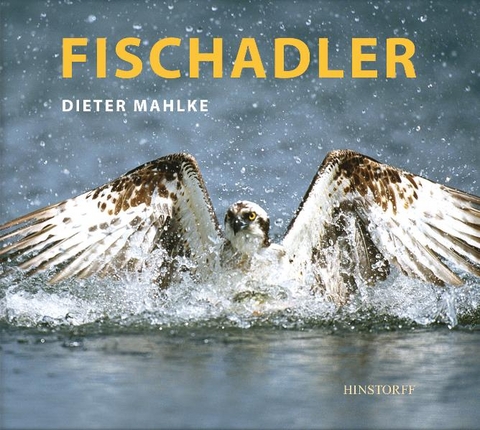 Fischadler - Dieter Mahlke