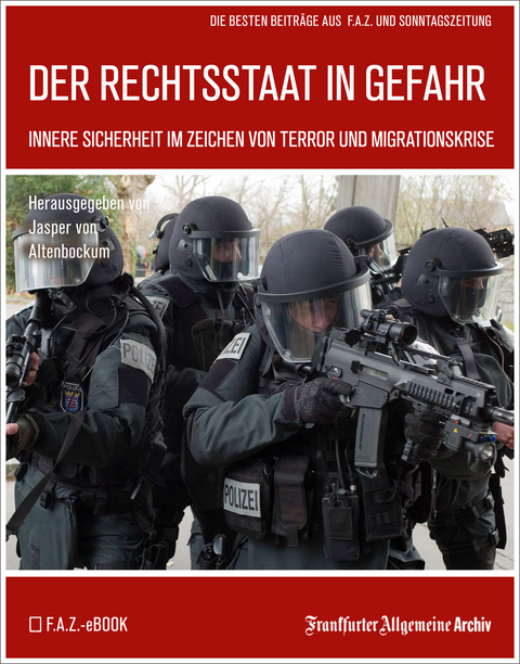 Der Rechtsstaat in Gefahr - 