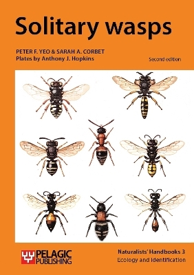 Solitary wasps - Peter F. Yeo, Sarah Corbet