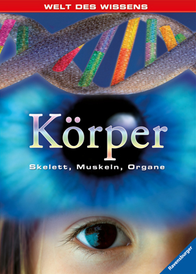 Körper