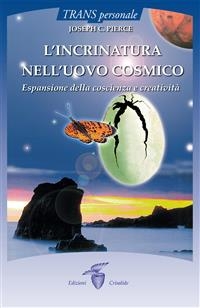 L’incrinatura nell’uovo cosmico 