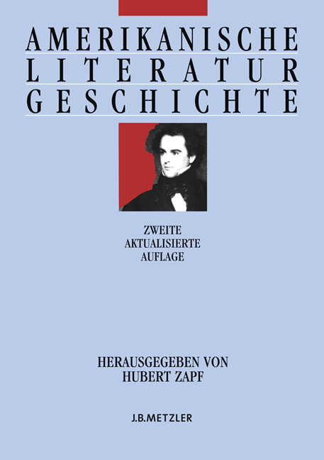 Amerikanische Literaturgeschichte - 