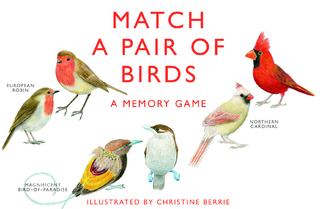 Match a Pair of Birds