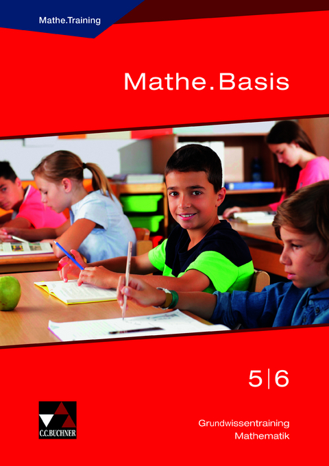 Begleitmaterial Mathematik / Mathe.Basis 5/6 - Ulrike Schätz