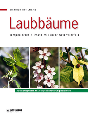 Laubbäume