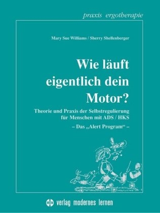 Wie läuft eigentlich dein Motor?